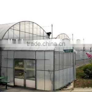 Vegetable Greenhouses for Sale 200 Micron Greenhouse Film/vegetable Seeds Greenhouse thumbnail-5
