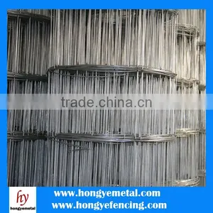Stainless Steel Wire,Galvanized Iron Wire Material And Welded Mesh Type 6x6 Concrete Reinforcing Welded Wire Mesh thumbnail-4