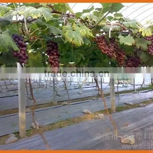 Agricultural Covering Film thumbnail-1