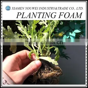 Health Soilless Culture Of Greenhouse Vegetables Planting Foam thumbnail-1