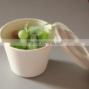 Sugarcane Bagasse Fiber Cups Container 16oz With PLA Lid thumbnail-1