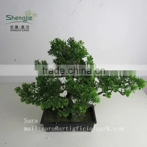 Indoor Bonsai,potted Evergreen Foliage, Decorative Landscape thumbnail-4