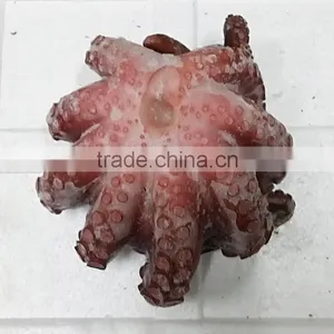 Frozen Sliced Octopus thumbnail-2