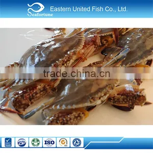 Hot Sale Export Blue Swimming Crab Whole Round thumbnail-1