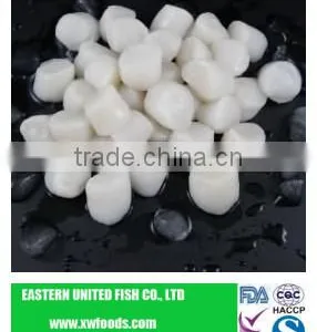 Frozen IQF Scallop Meat thumbnail-1
