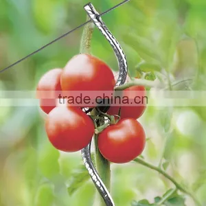 1.8m Galvanized Tomato Spiral/spiral Wire Tomato Support thumbnail-1