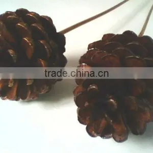 Vernish Pine Cone On Stem thumbnail-1