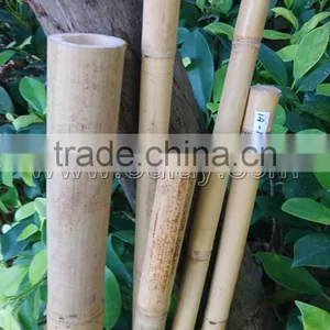 Hollow Guadua Bamboo Poles Can be Split thumbnail-5