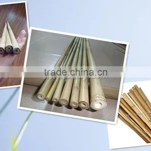 Thick Walled Cheap Tonkin Bamboo Poles Wholesale for Plants thumbnail-1