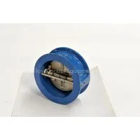 Check Valves thumbnail-1