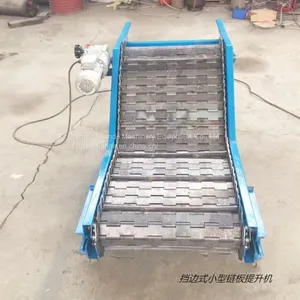 Chain Conveyor Manufacturer, Small Chain Conveyor Price thumbnail-2