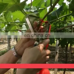 Skyagri Plant Fixing Machine Vine Tapetool for Tomato Cucumber Grape Capsicum thumbnail-1