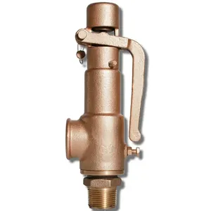 Manufacturer Direct Sales Copper Material Pressure Relief Valve Safety Valve thumbnail-2