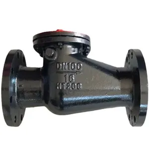Hot Selling Ductile Iron Check Valve H44T Check Valve thumbnail-1