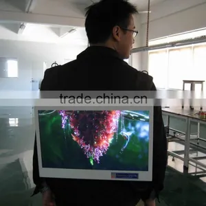 18 Inch Digital Photo Frame Loop Video Display Screen Backpack Led Display Usb/sd Player Usb Advertising Player thumbnail-1