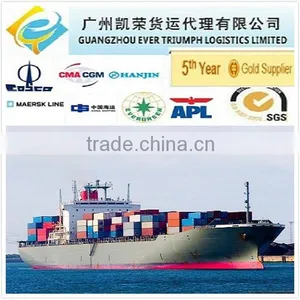 Sea Container DDP/DDU Shipping From China to Antwerp Belgium thumbnail-1