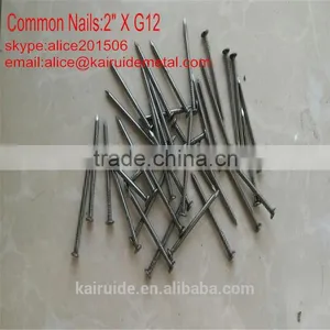 High Qulity Common Iron Nail/iron Nail Factory thumbnail-1