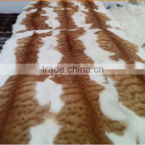 Various Leopard Cat Fur Plate thumbnail-2