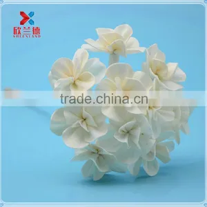 Most Popular Decorative Natural White Dried Flower Wooden Sticks Wholesale With Cheap Price thumbnail-6