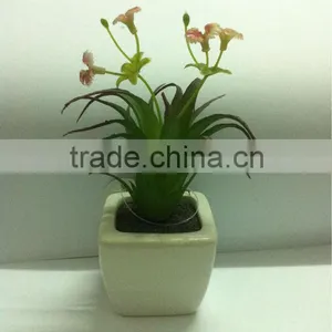 Artificial Bonsai Plants thumbnail-1