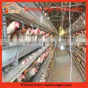 Stable Steel Structure Professional Chicken Egg Layer Cage Broiler Farm Design thumbnail-1