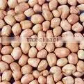 Chinese Round Type Peanut Kernels thumbnail-6