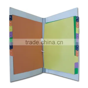 Ministry of Health Divider Files/File Folders With U-clip (BLY8-2047PPMF) thumbnail-3