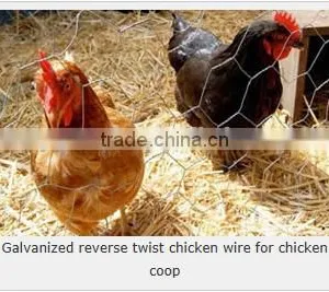 Hexagonal Woven Twist Wire Mesh - Galvanized and PVC Coated Chicken Mesh Price thumbnail-5