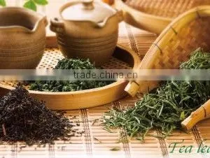 Chinese Tea thumbnail-1
