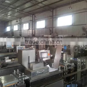 DPP-250 High Speed Automatic Alu Alu Blister Machine thumbnail-2
