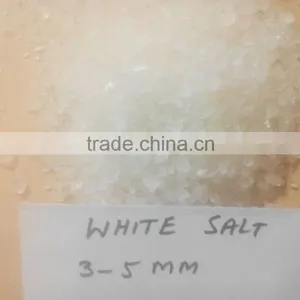 EDIBLE SALT thumbnail-2