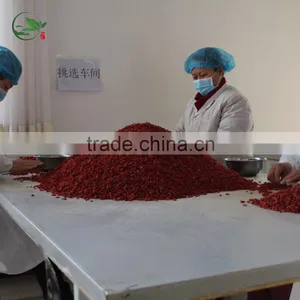 Dried Goji Berry Organic Goji Berries thumbnail-6
