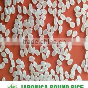 VIETNAMESE JAPONICA RICE - GOOD PRICE thumbnail-3