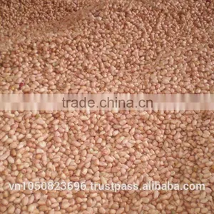 VIETNAM PEANUT HIGH QUALITY/ Vilaconic.export15(@)gmail.com thumbnail-2