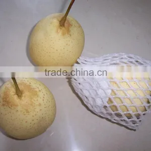 2015 Fresh ya Pear Packing in Carton With Good Quality thumbnail-2