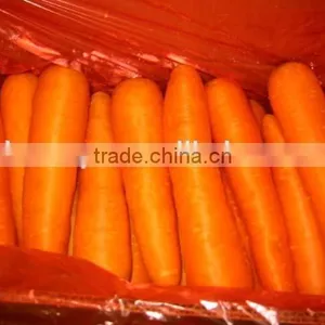 China New Crop Fresh Carrot thumbnail-1