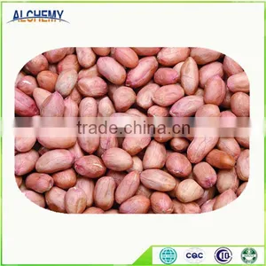 Chinese Peanuts Kernel for Hot Sale and With Free Sample for You thumbnail-5