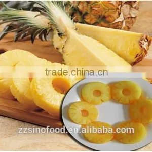 Resonable Price Pineapple Canned in Light Syrup Slices thumbnail-1