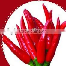 The Newest Red Chaotian Chilli,tianying Chilli thumbnail-1