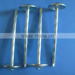 Umbrella Roofing Nails thumbnail-1