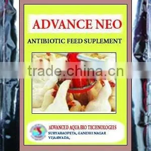 Antibiotic Feed Supplements thumbnail-1