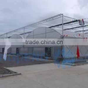 Greenhouse Plastic Poly Film thumbnail-1