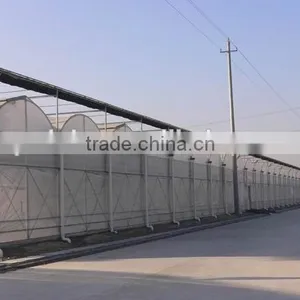 Sunshine Ecological in Greenhouse thumbnail-1