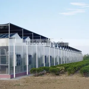 Galvanized Steel Structure pc Sheet Cover Used Commercial Greenhouses thumbnail-1