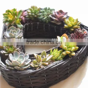 Handmade Wicker Basket Heart-shaped Retro Pastoral Desktop Simulation Flower Planting Pot Plants Meat Storage Basket thumbnail-3