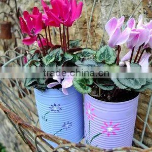 Hanging Powder Coated Planters | Garden Pots And Planters thumbnail-1