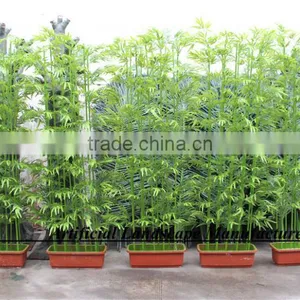 LXY160405 Green Bamboo,High Quality Artificial Bamboo Fencing thumbnail-1