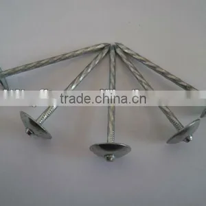Plastic Cap Roofing Nails China Supplier on Hot Sale thumbnail-1
