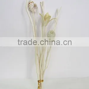 Wholesale Rattan Reeds Stick Bundle/ Curl Straight Reed Stick thumbnail-1