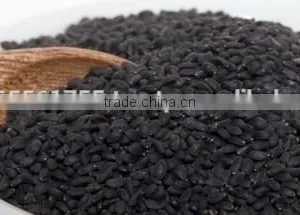 Bulk Quantity Available of Basil Seeds thumbnail-1
